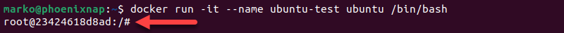 A Bash shell inside an Ubuntu container.
