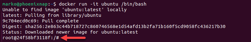 Opening a Bash shell inside an Ubuntu container.