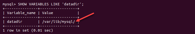 SHOW VARIABLES LIKE 'datadir'; MySQL output