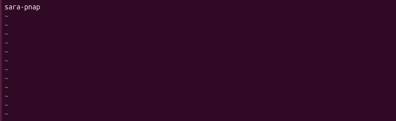 sudo vim /etc/hostname terminal output in vim