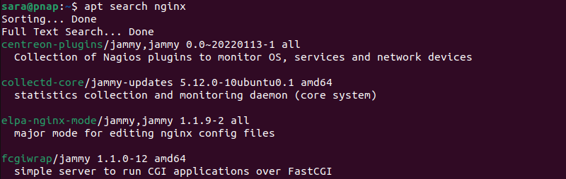 apt search nginx terminal output