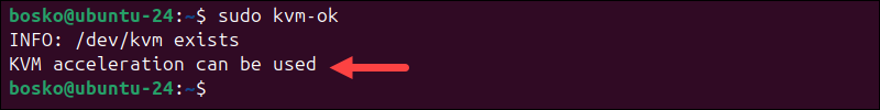 Checking if the system is set up to run kvm virtualization.