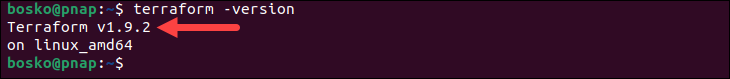 Check Terraform program version on Linux.