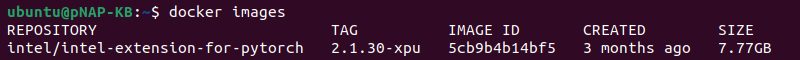 docker images intel extension pytorch terminal output