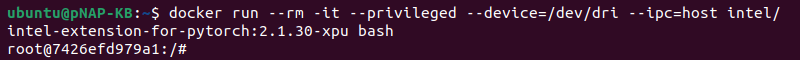 docker run intel pytorch container root terminal output