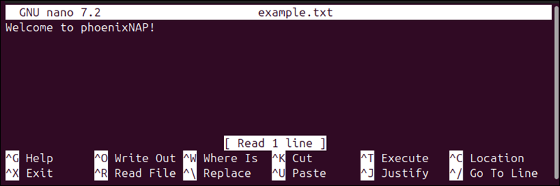 Example of the Nano text editor.