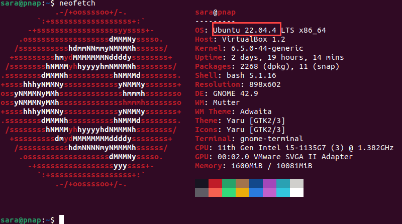 check Ubuntu version via neofetch