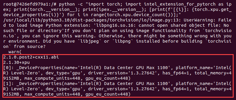 pytorch test two xpu output