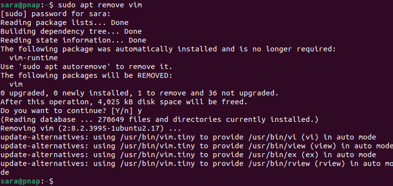 sudo apt remove vim terminal output