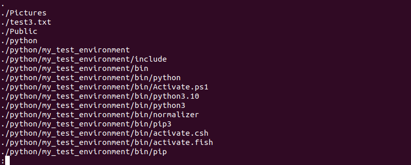 sudo find . |less terminal output