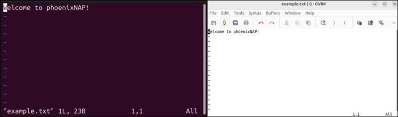 Comparing the Vim text editor CLI and GUI.