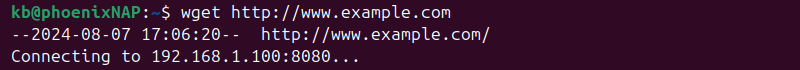 wget example.com proxy terminal output