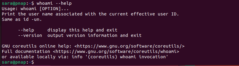 whoami --help terminal output