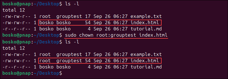 Changing a file's group and owner with chown.