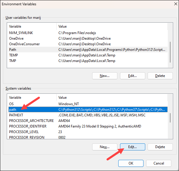 Editing the Path system variable in Windows.