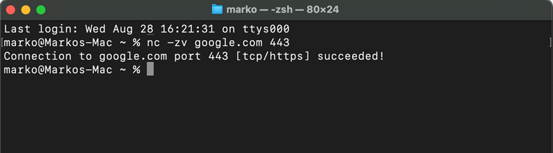 nc -zv google.com 443 command line output