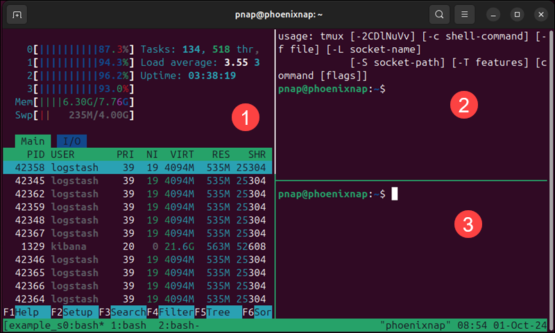 Multiple panes within a tmux window.