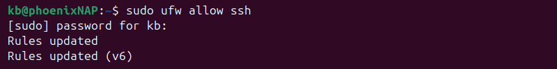 sudo ufw allow ssh