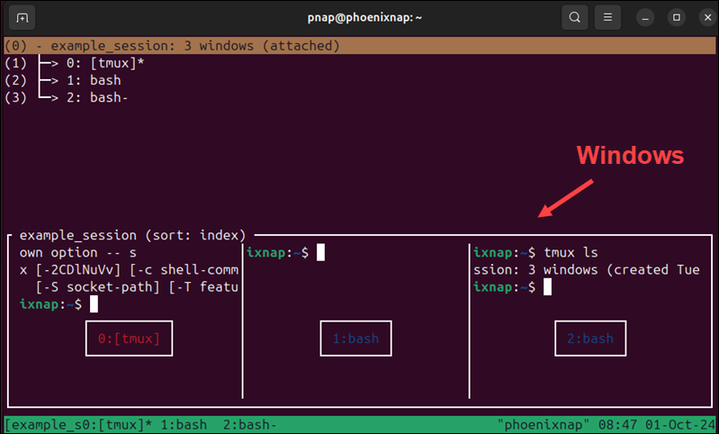 Multiple tmux windows within a session.