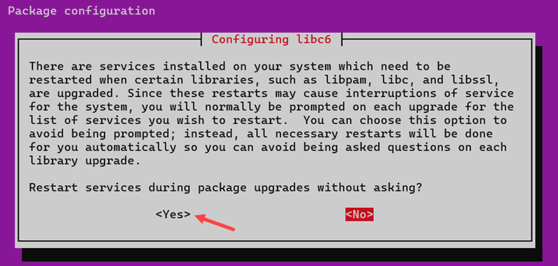 Configuring the libc6 prompt.