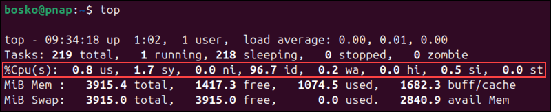 CPU usage information.