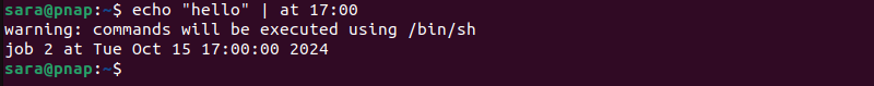 echo "hello" | at 17:00 terminal output