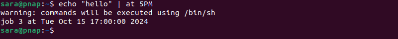 echo "hello" | at 5PM terminal output