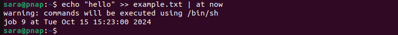 echo "hello" >> example.txt | at now terminal output