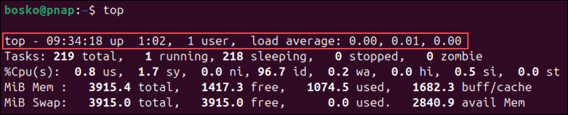 Header information in the top command output.