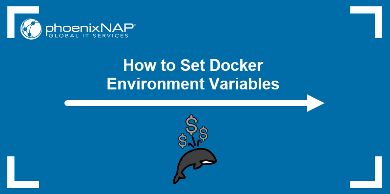 How to Set Docker Environment Variables.