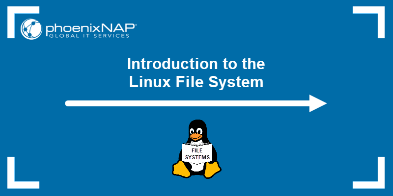 Introduction to the Linux file system - a tutorial.