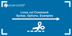 Linux cut Command: Syntax, Options, Examples