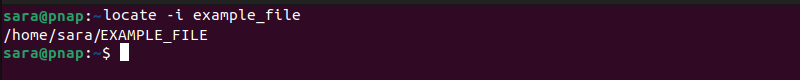 locate -i example_file terminal output