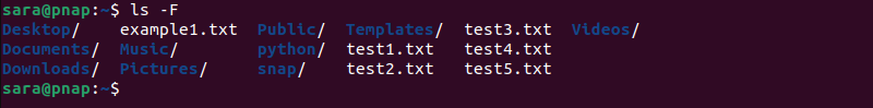 ls -F terminal output