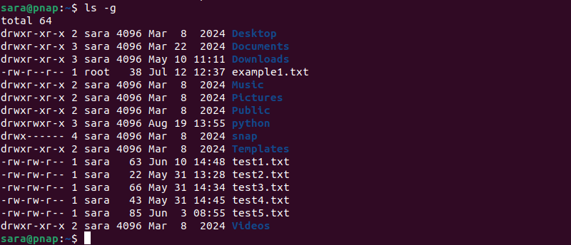 ls -g terminal output