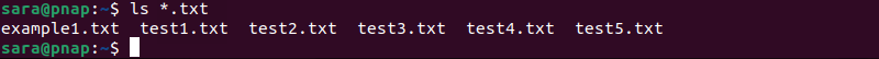 ls *.txt terminal output