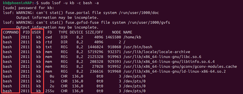 lsof -u kb -c bash -a terminal output