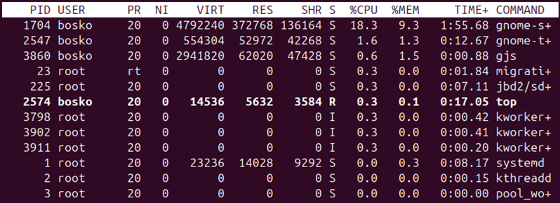 Process list in top command output.