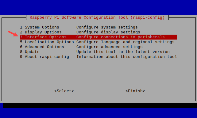 raspi-config interface options