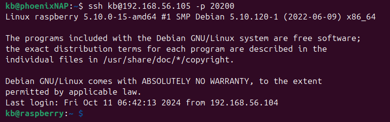 ssh port 20200 Raspberry Pi connected terminal output