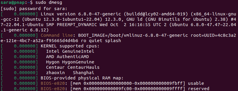 sudo dmesg terminal noutput