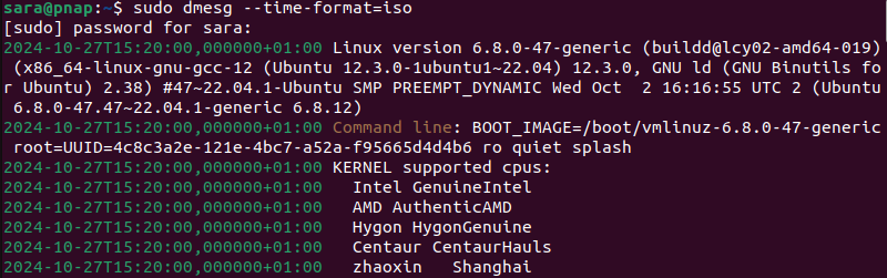 sudo dmesg --time-format=iso terminal output