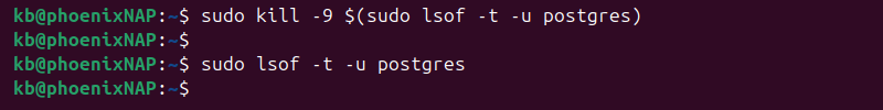 sudo kill -9 $(sudo lsof -t -u postgres) terminal output