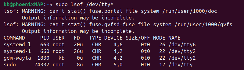 sudo lsof /dev/tty* terminal output