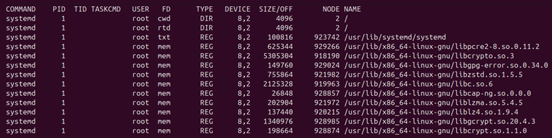 sudo lsof | less terminal output