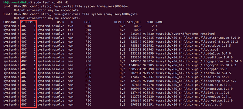 sudo lsof -p 407 -R terminal output