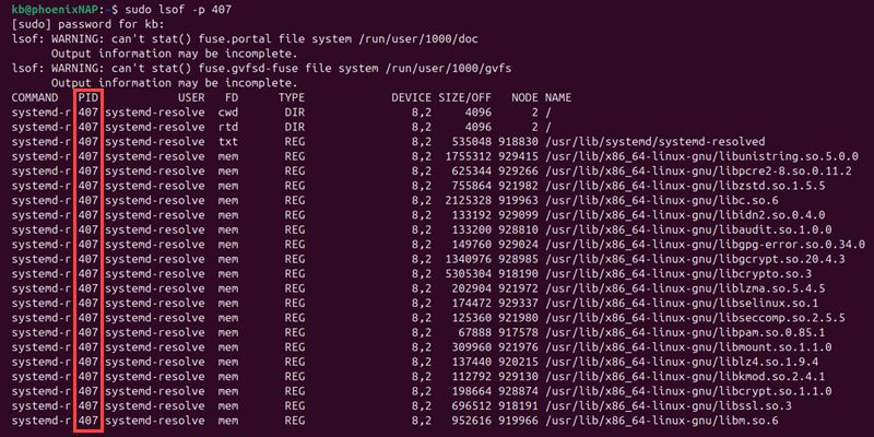 sudo lsof -p 407 terminal output