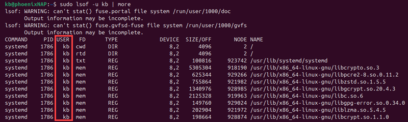 sudo lsof -u kb | more terminal output