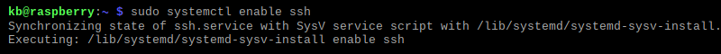 sudo systemctl enable ssh terminal output