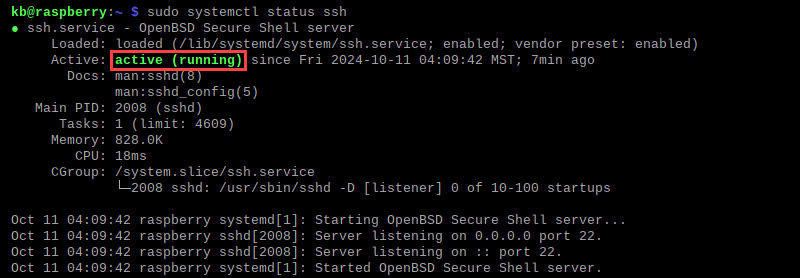 sudo systemctl status ssh active (running) terminal output